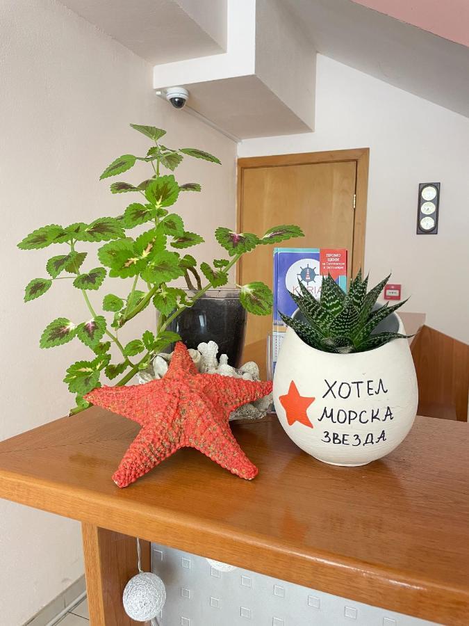 Family Hotel Morska Zvezda バルチク エクステリア 写真